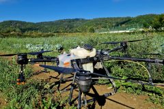 INOVIA-prepojila-kapustove-pole-s-inovaciami