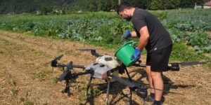 INOVIA prepojila kapustové pole s inováciami